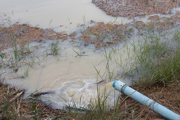 istock Waste water running from a pipeline to pond 510865984