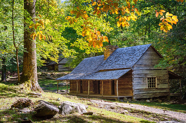 istock Great Smoky Mountains National Park 510867340