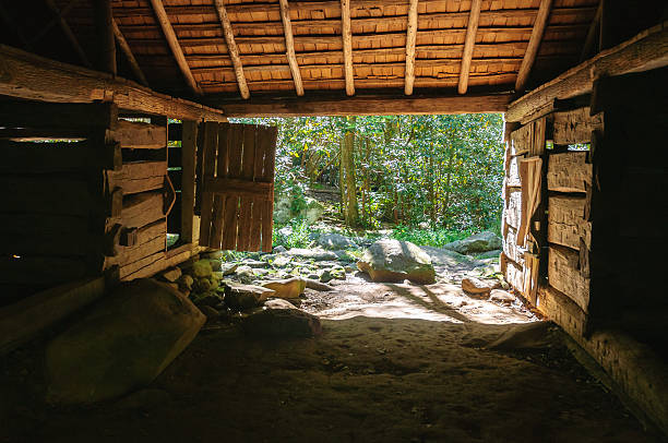 istock Great Smoky Mountains National Park 510867372