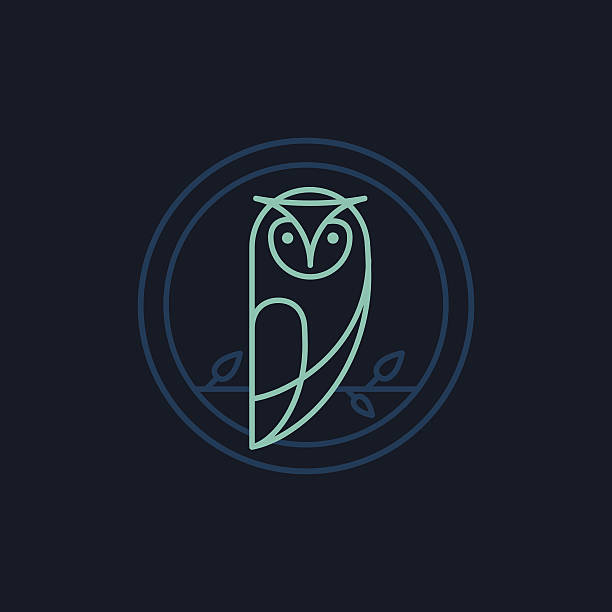 Vector owl icon in outline style Vector owl icon in outline style - abstract emblem owl illustrations stock illustrations