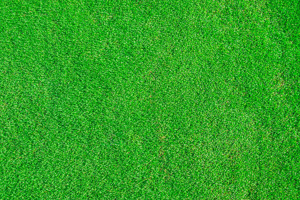 istock Golf club. Green field and ball in grass 510868681