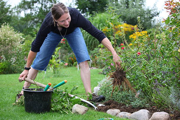 istock Gardening woman 510869213