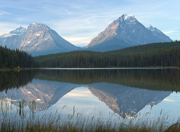 calme lac leech dans les rocheuses canadiennes, montagnes et les arbres - leech photos et images de collection