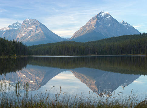 Calm Leech lake in the Canadian Rockies with mountains, trees