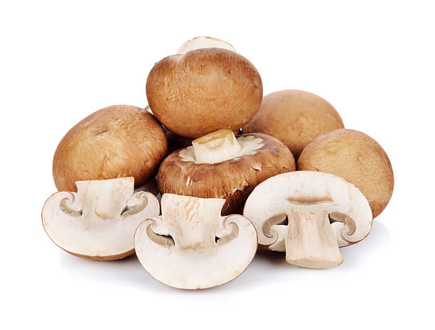 istock champignon mushrooms isolated on white 510872266