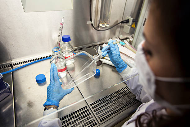 istock scientist workin in lab- eye level wiew 02 510873620