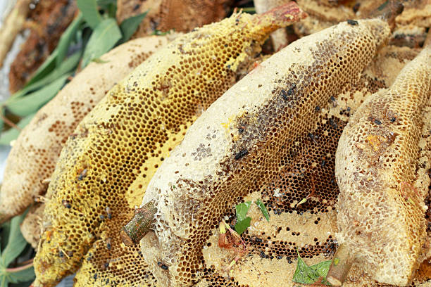 istock fresh honey in the comb 510873645