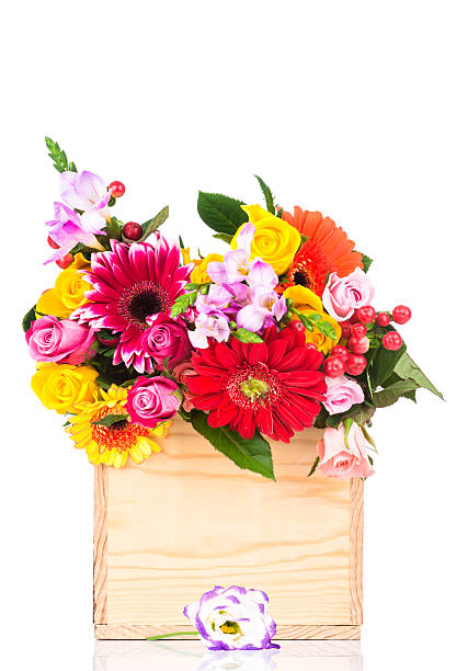 istock Flowers in the box 510874220
