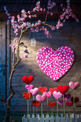 Romantically decorated studio. Small flowers-hearts on the garden bed. Big heart made of small paper roses on a wooden wall in the background.