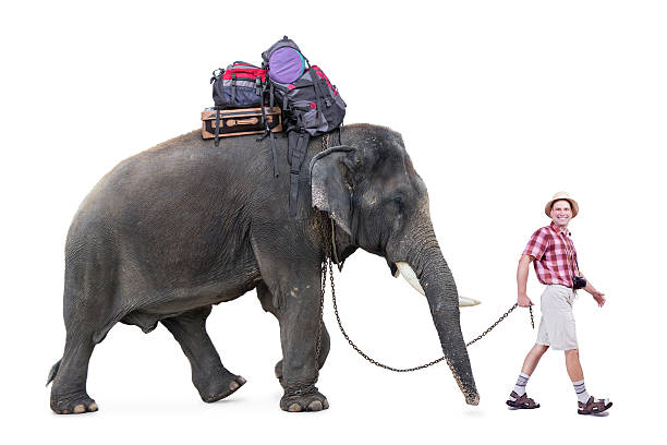 istock happy tourist walking with a elephan 510898339