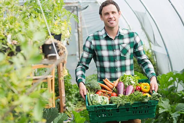 istock Proud man presenting vegetables in a basket 510900523