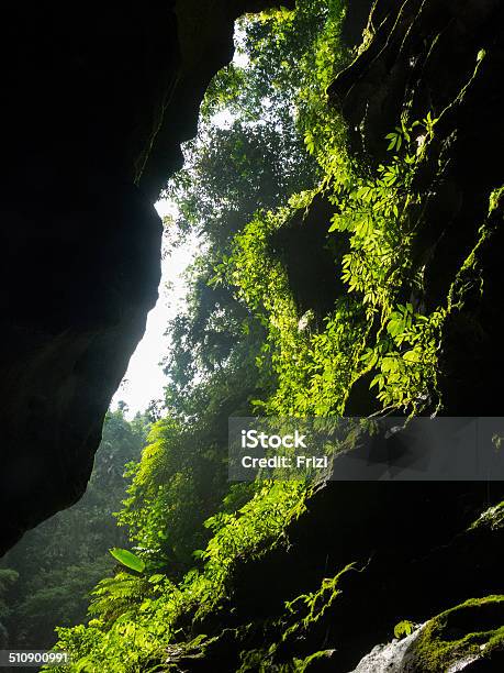 Cave Vanuatu Stock Photo - Download Image Now - Adventure, Animals In The Wild, Branch - Plant Part