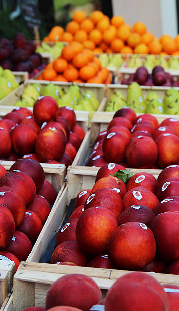 istock Tasty Project - Peaches 2 510902915
