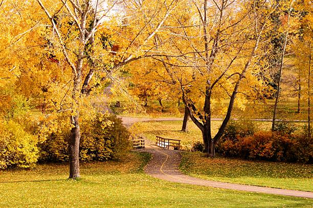 istock Autumn colors 510902977