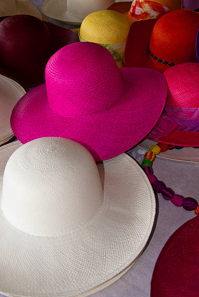 istock Accessory - Feminine Straw Hats 510904595