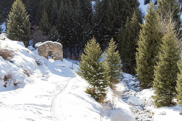 istock ruined stone house in the mountains 510922262