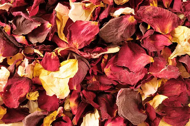 dried rose petals, background