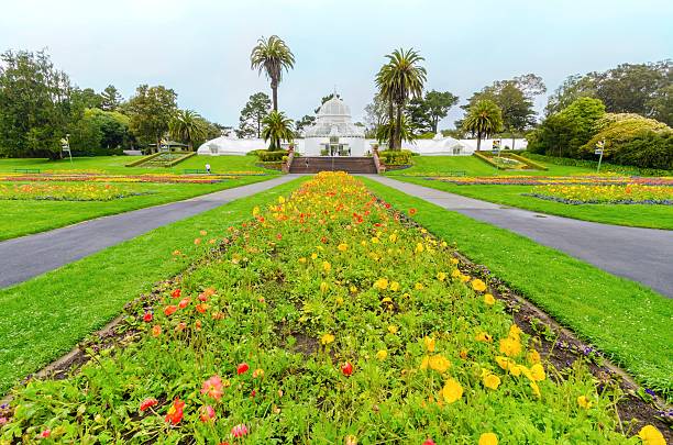istock Conservatory of flowers, San Francisco 510925766