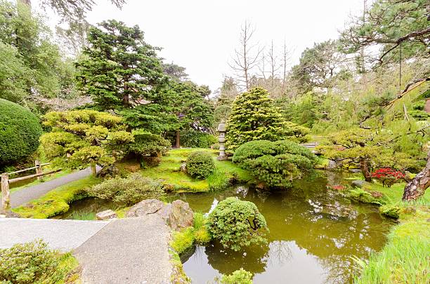 July 31, 2017. Monaco. A young boy explores the tranquil Japanese Garden in Monaco, a verdant oasis featuring traditional architecture, lush bonsai, and a peaceful pond under a clear sky.