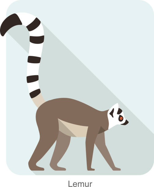 lemur ładna spaceru na ziemi, wektor - lemur stock illustrations