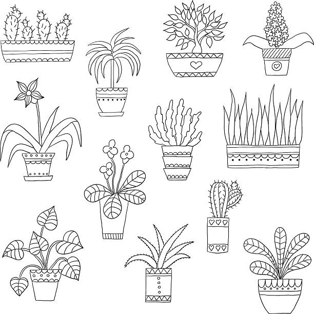 ilustrações, clipart, desenhos animados e ícones de linda mão desenhada em vetor de flores no vapor - flower pot potted plant cactus single flower