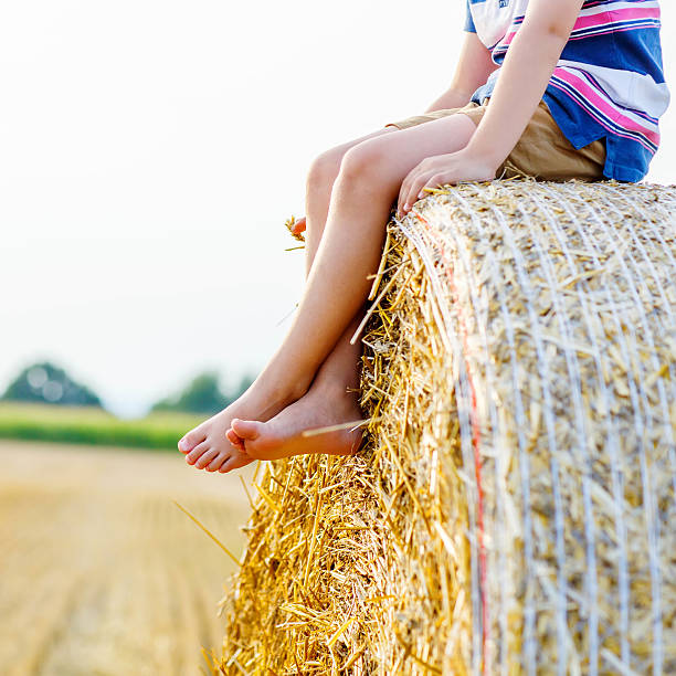 istock Little kid boy sitting on hay bale in summer 510929040