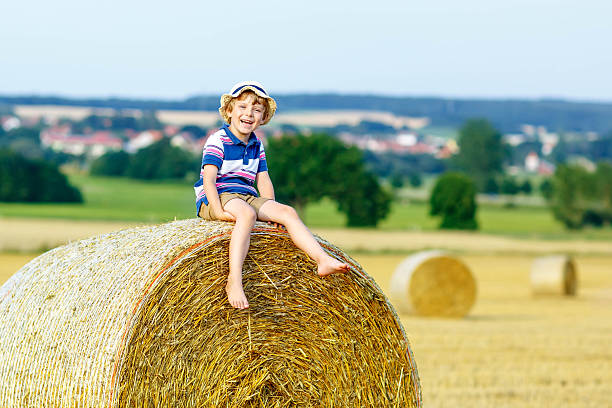 istock Little kid boy sitting on hay bale in summer 510929266