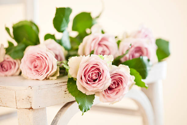 pink roses - wood single flower flower bouquet fotografías e imágenes de stock