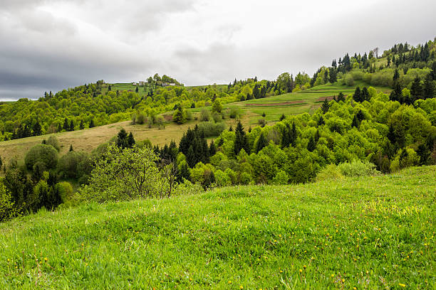 istock village on hillside meadow with forest in mountain 510948129
