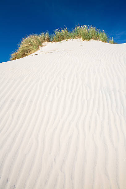 istock Beautifull dunes of Amrum 510951809