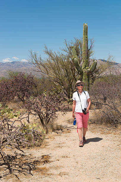 escursioni in arizona - hiking sonoran desert arizona desert foto e immagini stock