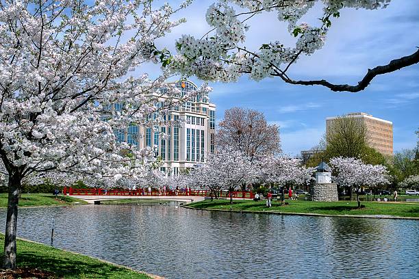 city park during spring - 阿拉巴馬州 個照片及圖片檔