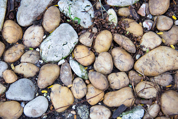 kamienie tło - stone rock river pebble zdjęcia i obrazy z banku zdjęć