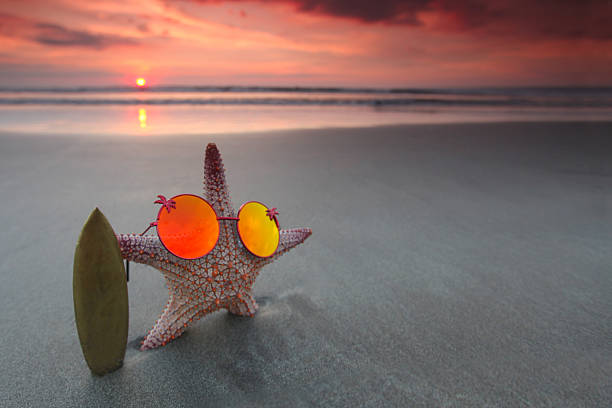 istock Starfish surfer on beach 510955076