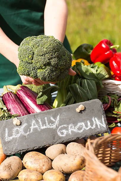 istock Organic vegetables presented on a stand for sale 510955727
