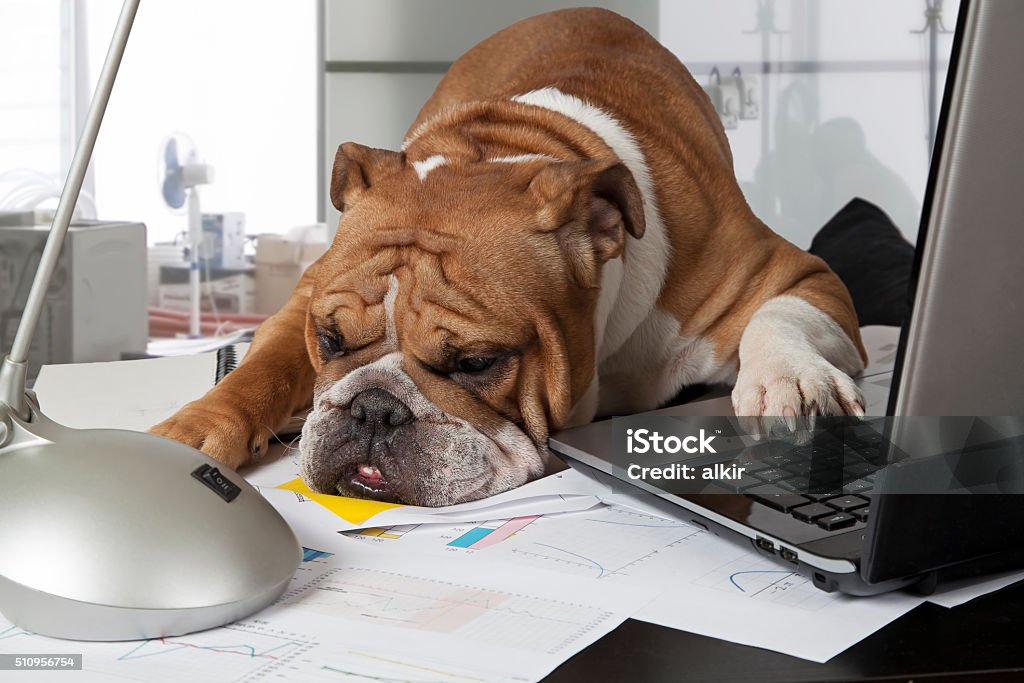 Journée de travail au bureau - Photo de Humour libre de droits