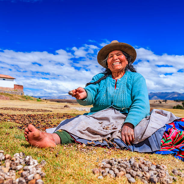 Peruvian woman preparing chuno - frozen potato, near Cuzco,Peru Chuño is a freeze-dried potato traditionally made by Quechua people. It is a five-day process, obtained by exposing a frost-resistant variety of potatoes to the very low night temperatures of the Andean Altiplano, freezing them, and subsequently exposing them to the intense sunlight of the day. smiling potato stock pictures, royalty-free photos & images