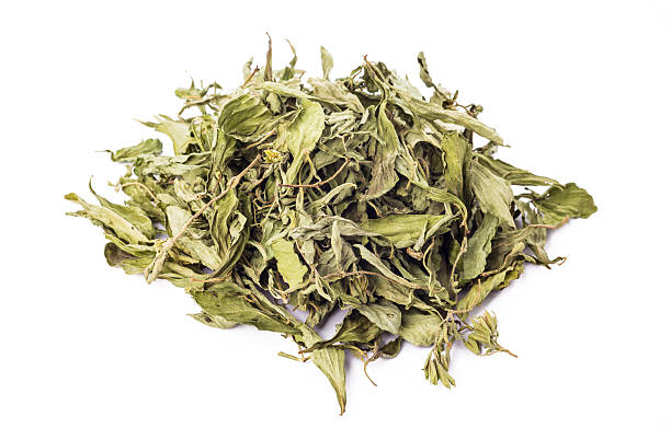 istock Dried Stevia rebaudiana leaves isolated on white background 510959616