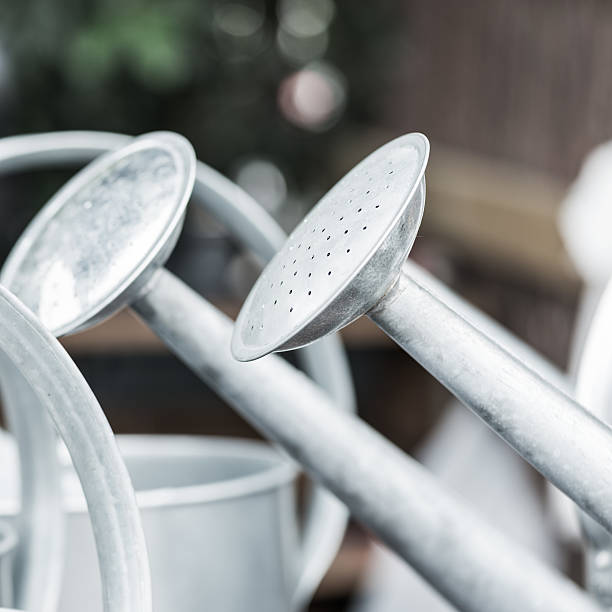 Zink watering-cans stock photo