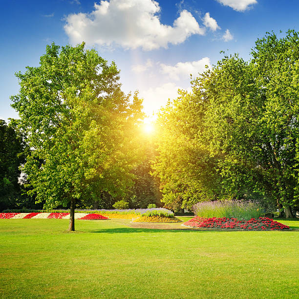 istock summer park with  flowerbeds 510961530