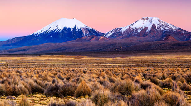 sunrise over parinacota volcán en parque nacional de sajama, bolivia - bolivia fotografías e imágenes de stock