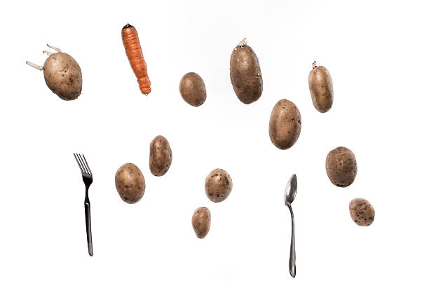 istock Levity potatoes on a white background 510966056