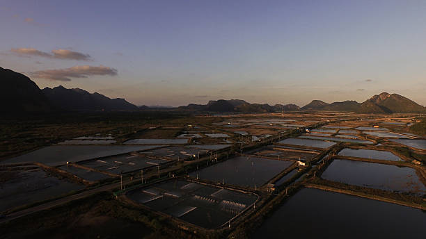 istock Areial Shoot Swamp area at pranburi sunset before night time 510967384