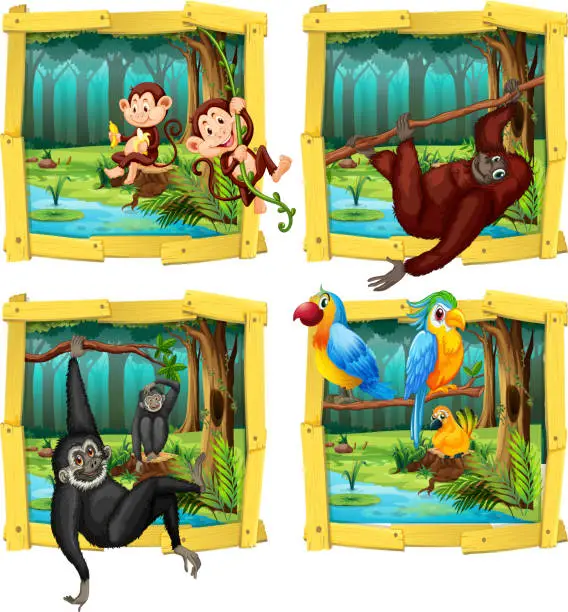 Vector illustration of Wild animals in wooden frame