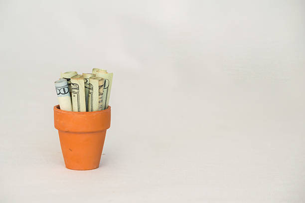 istock Money in a Terracotta Pot 510968014