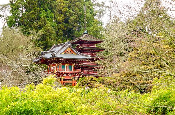 istock Japanese Tea Garden, San Francisco 510969864