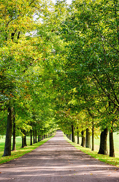 istock Friendship Hill National Historic Site 510970248