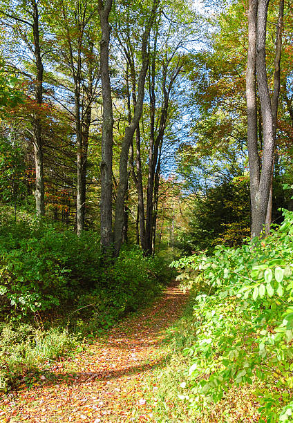 istock Fort Necessity National Battlefield 510970604