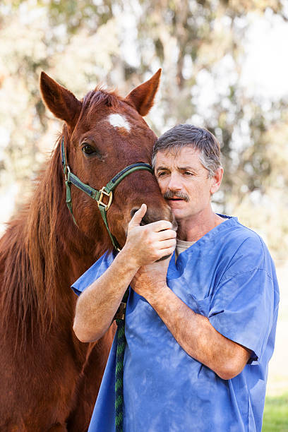 istock Veterinarian is calming a sick horse by hugging it 510974915