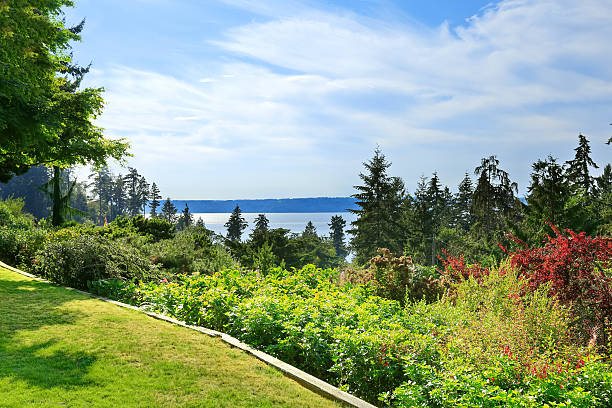 istock Amazing view from walkout basement 510975939